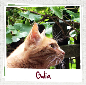 gulia