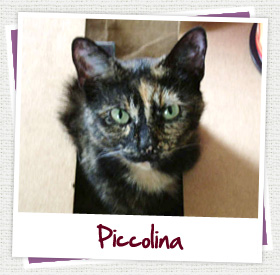 piccolina